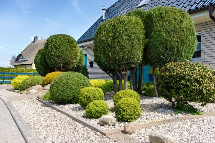 Service de taille des arbustes La Ferté-en-Ouche