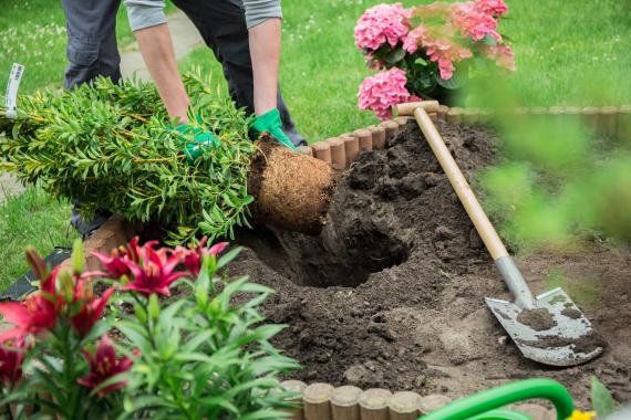 Entretien de jardin Gacé