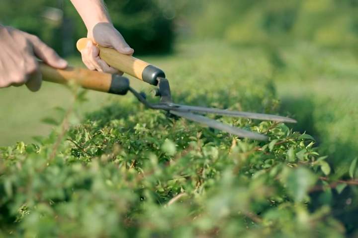 Jardinier La Ferté-en-Ouche