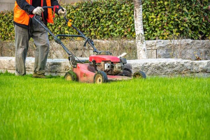 Gestion et nettoyage des parcs publics ou privés