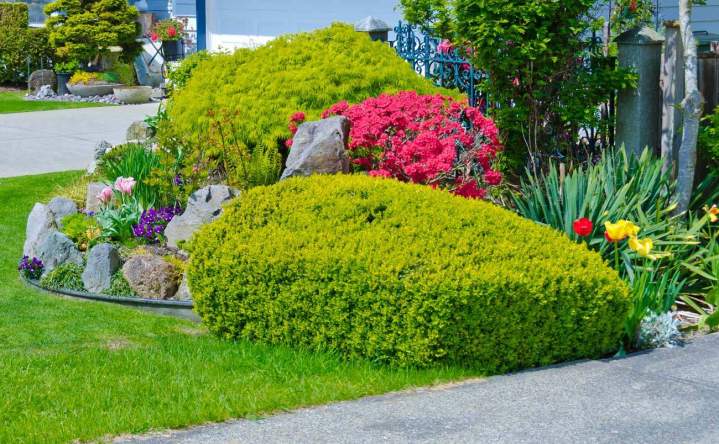 Désherbage et soin des parterres fleuris