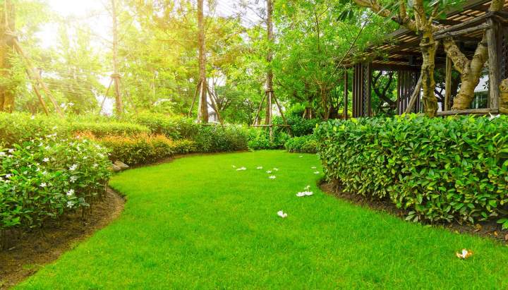 Entretien espace vert La Ferté-en-Ouche