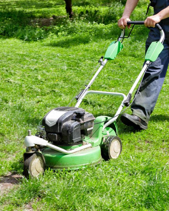Entretien de jardin La Ferté-en-Ouche