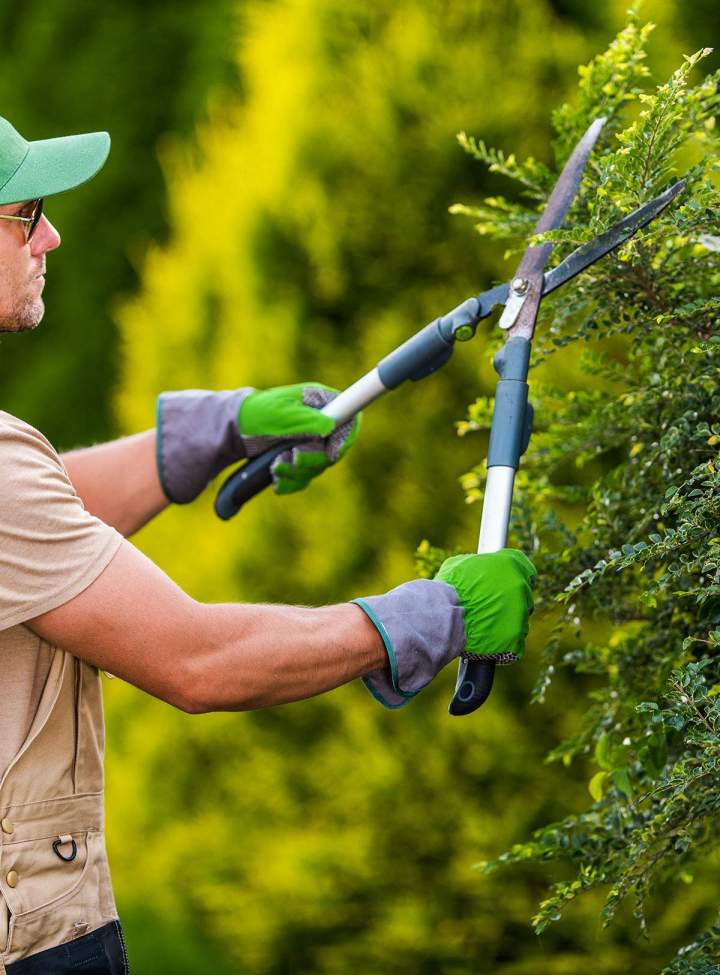 Jardinier paysagiste La Ferté-en-Ouche